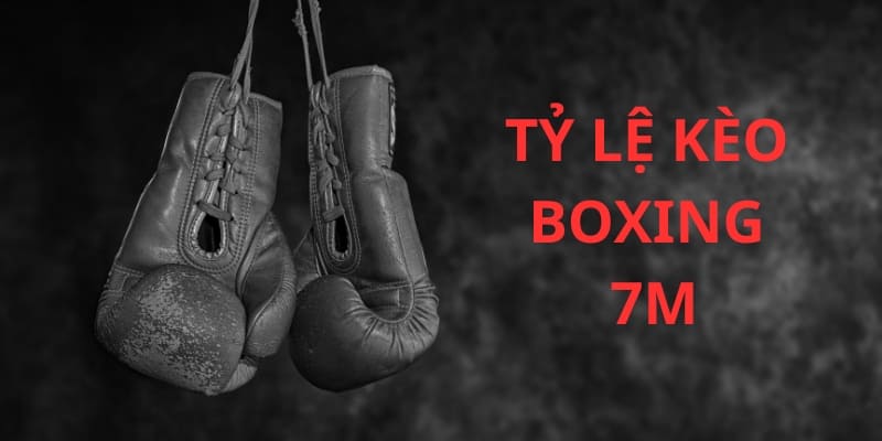 Tỷ Lệ Kèo Boxing 7m