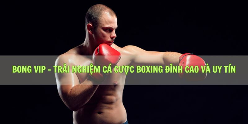 Bong vip - Trải Nghiệm Cá Cược Boxing Đỉnh Cao Và Uy Tín